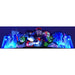 Chicago Gaming Medieval Madness Remake Merlin Edition pinball machine backglass display featuring illuminated castle towers and fantasy characters