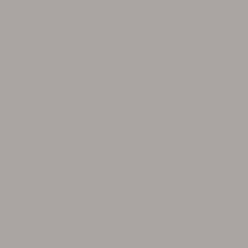 TAG Retro Arcade Gray Trim