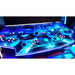 paradox arcades pro 4 player xl Backlit Control Panel Paradox Arcades